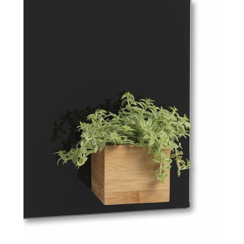 Drevený magnetický držiak na magnetickú sklenenú tabuľu aj na dekorácie a kvety | DOMO GLASS