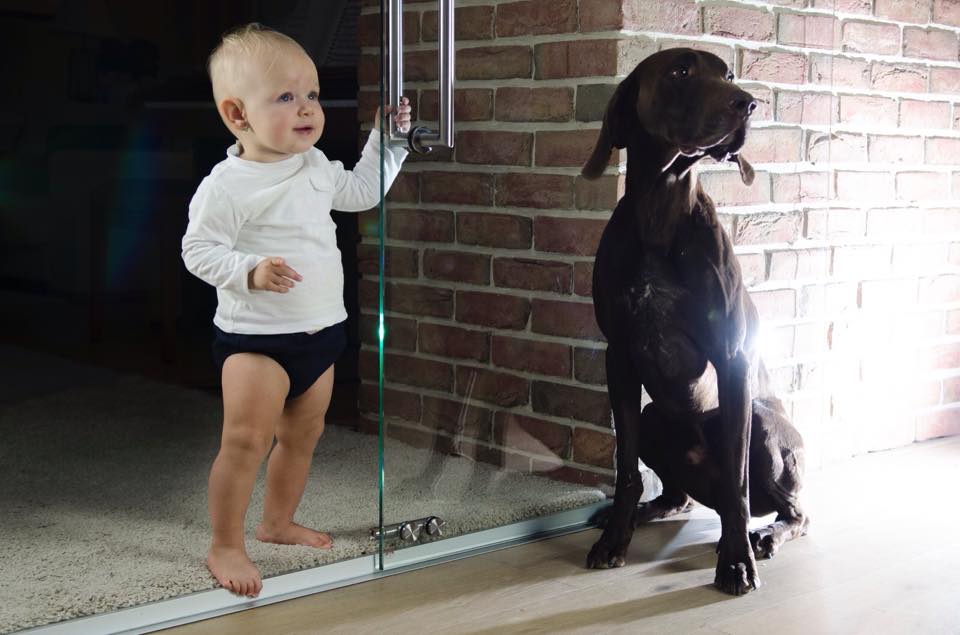 Posuvné sklenené dvere dieťa a pes | DoMo-GLASS